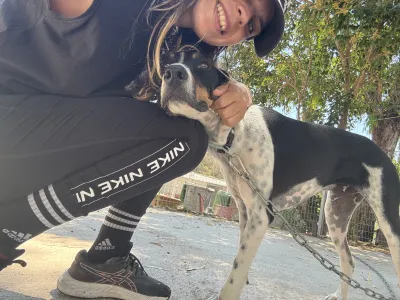 Hund Tsampikos adoptieren