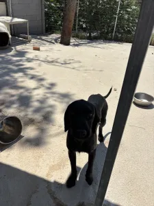 Adoptionsprofil für Zero