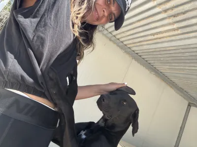Adoptie hond Azour