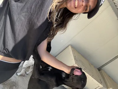 Adoptie hond Azour