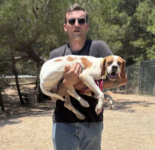 Adopt Aris