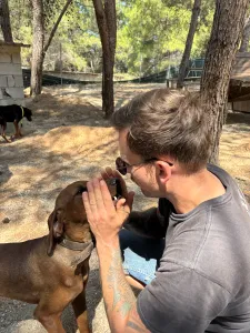 Hund Aris adoptieren