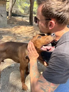 Hund Aris adoptieren