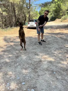 Hund Aris adoptieren