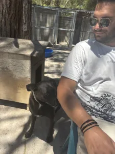 Adopt Jerry