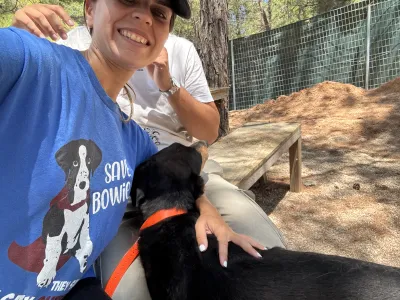 Adopt Bruno