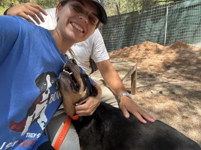 Adopt Bruno