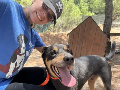 Adopt Bruno