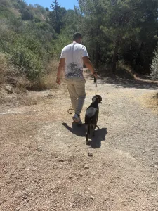 Adopt Poco