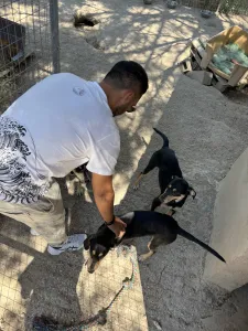 Adopt Axileas