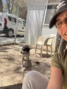Adopt Fani