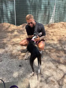 Hund Barbie adoptieren
