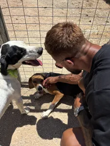 Adopt Fiouris