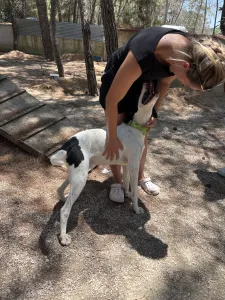 Adopt Fiouris