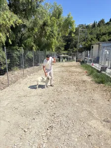Adoptionsprofil für Snow