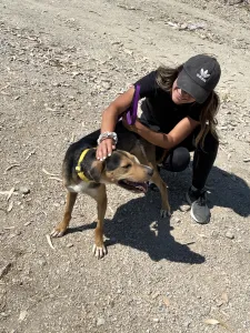 Hund Lucio adoptieren