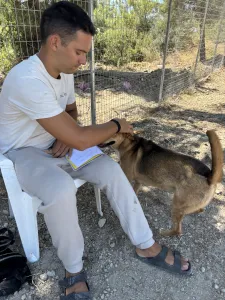 Adopt Tsiko