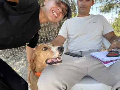 Adopt Kimonas
