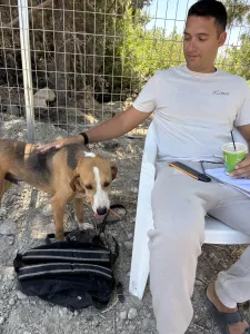 Adopt Kimonas