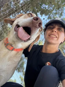 Hund Aria adoptieren