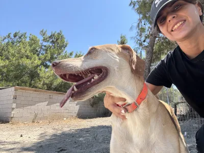 Hund Aria adoptieren