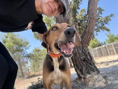 Adopt Ektoras