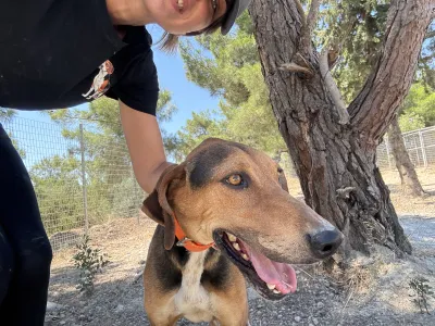 Adopt Ektoras
