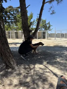 Adopt Ektoras