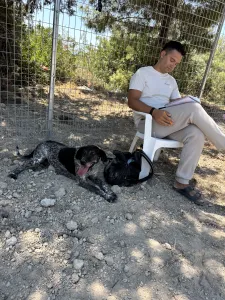 Adopt Sasa