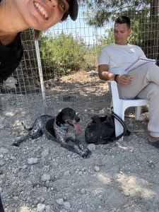 Adopt Sasa