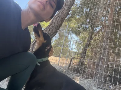 Adopt Ben