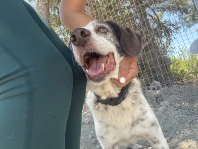 Adoptionsprofil für Eleni
