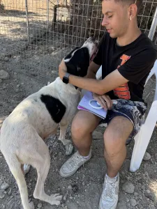 Adopt Gina