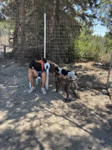 Adopt Ntalia