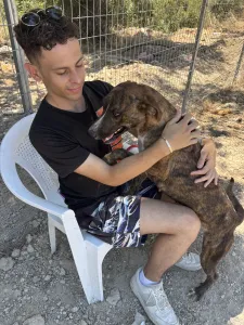 Adopt Ntalia
