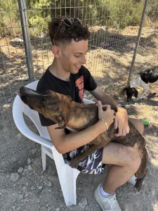 Adopt Ntalia