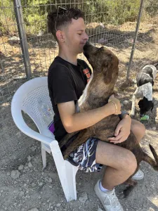 Adopt Ntalia