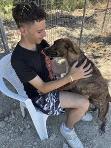 Adopt Ntalia