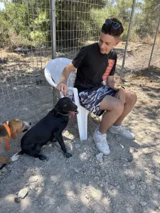 Hund Irida adoptieren