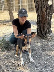 Adopt Casper
