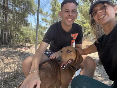 Hund Orfeas adoptieren
