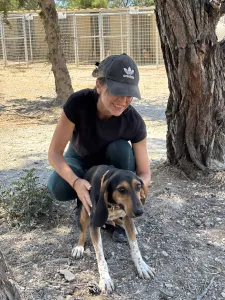 Adopt Casper