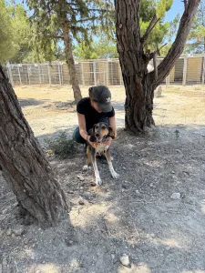 Adopt Casper