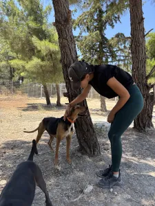 Adopt Ektoras