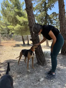 Adopt Ektoras