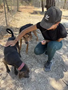 Adopt Mila