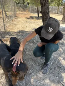 Adopt Ektoras