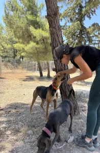 Adopt Ektoras