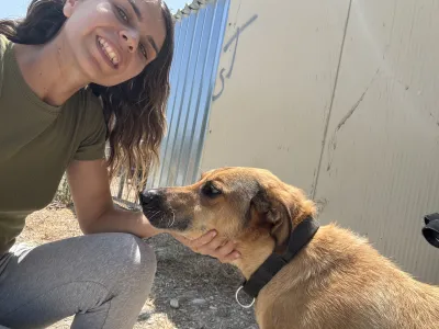 Hund Fernado adoptieren