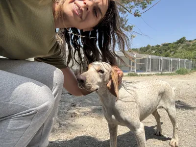 Adopt Christy